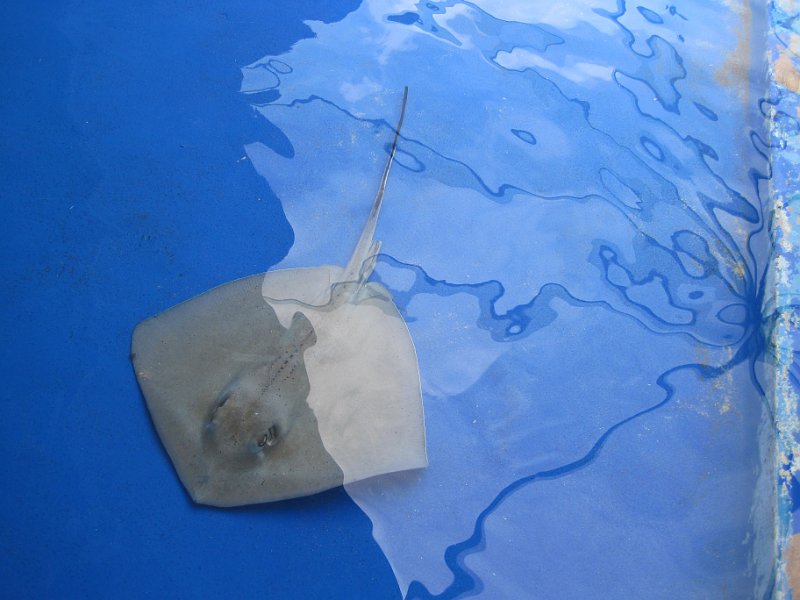 Curacao 04-12 219.JPG